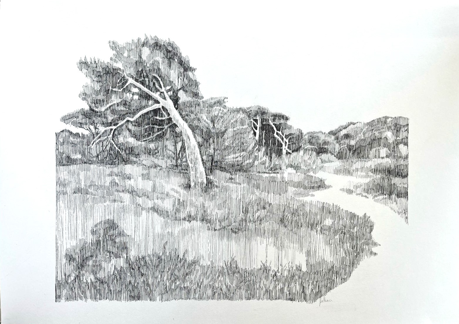 matadosmedos_2025_30x42_fineliner.jpg